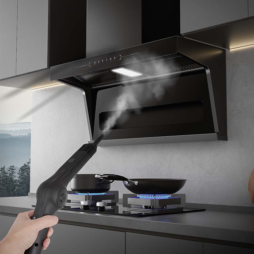 مكنسة بخار كهربائية وينينج ستار جاف ورطب للسجاد والكنب 1300 واط Winning Star Portable Steam Wet and Dry Vacuum Cleaner