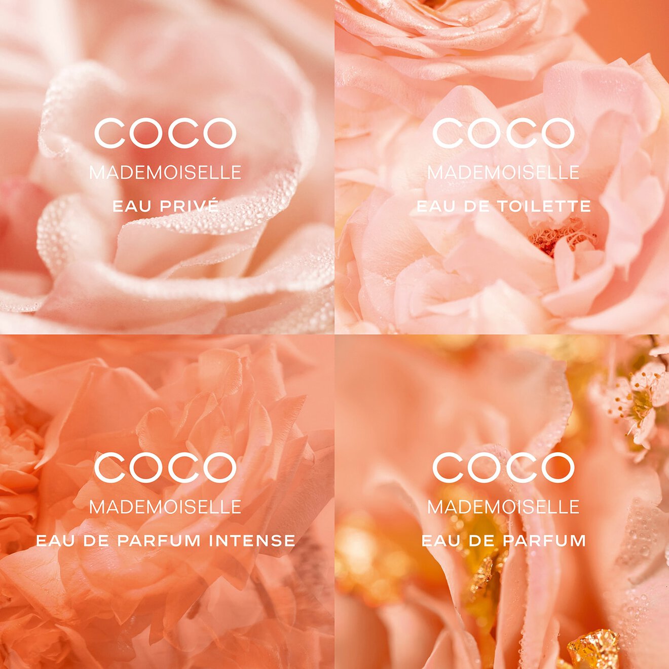 Chanel Coco Mademoiselle L'Eau Privée Night Fragrance 100ml