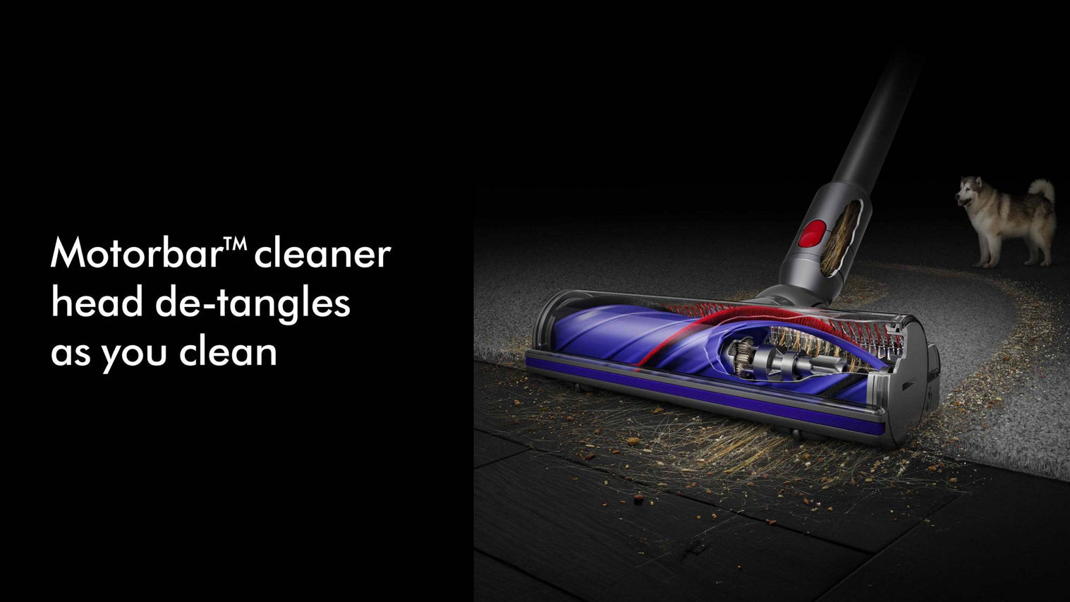 مكنسة كهربائية لاسلكية Dyson V8 Absolute بقوة شفط تصل إلى 110000 دورة في الدقيقة ومدة تشغيل 40 دقيقة وسعة سلة 0.54 لتر