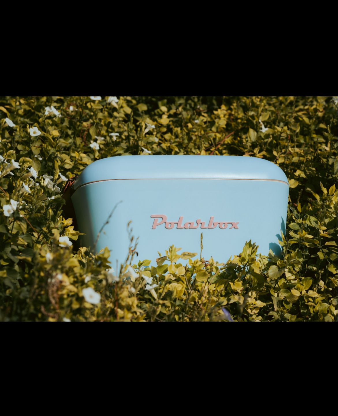 Polarbox Retro Cooler 20L Portable Insulated Cooler Box