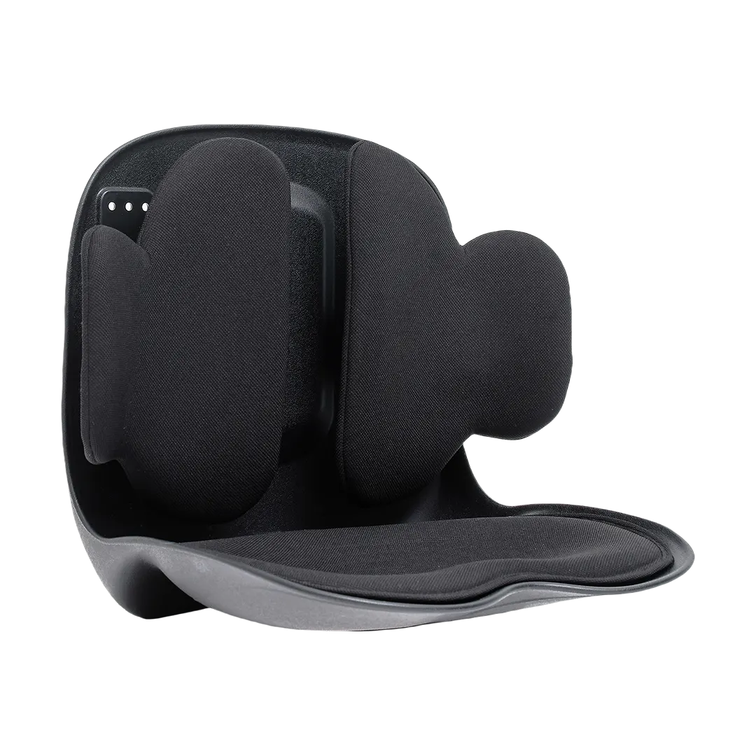 Green Lion Lumbar Pro Adjustable Back Support Black