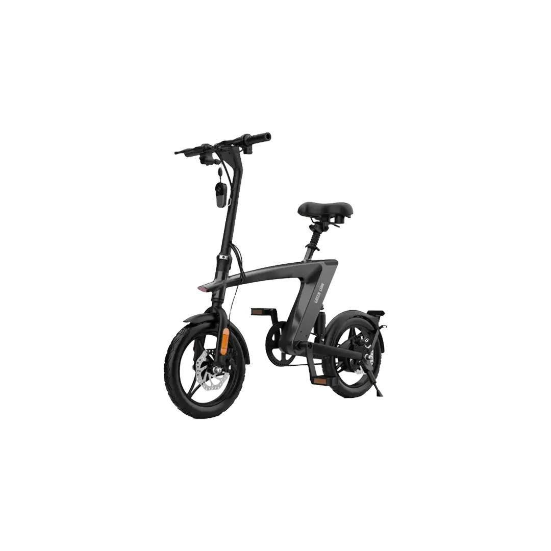 Green Lion GBK-200 Electric Bike 3 Gear Levels 36 V Headlight - Black