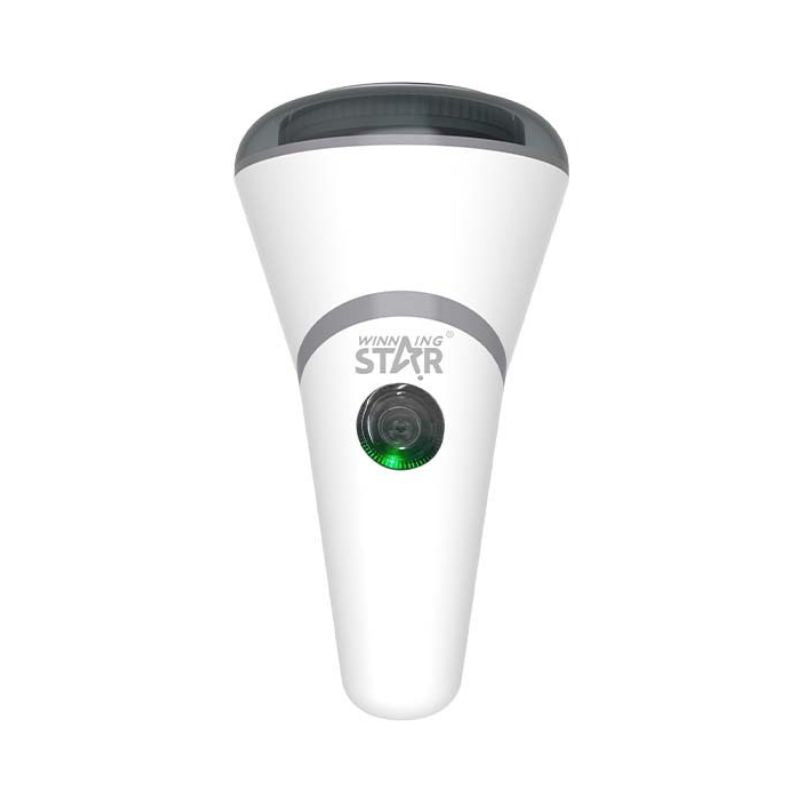 Winning Star Portable Lint Remover