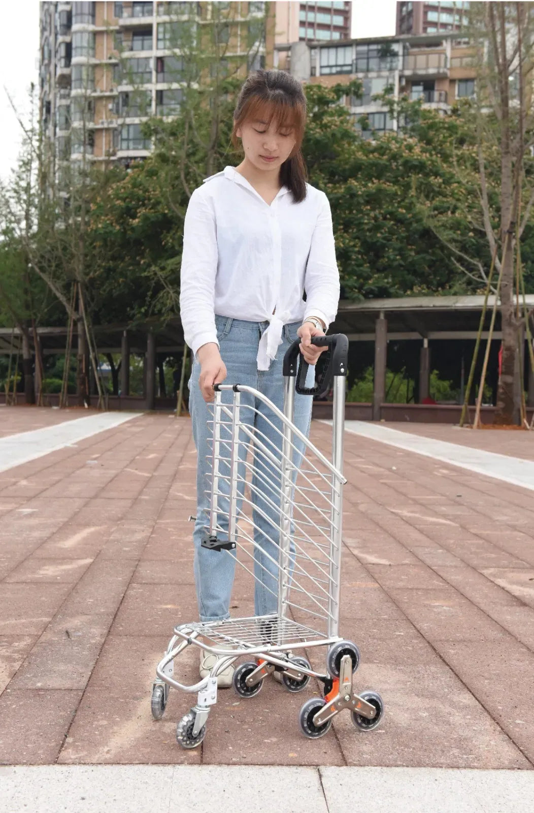 Green Lion Foldable Shopping Trolley Silver – image 6