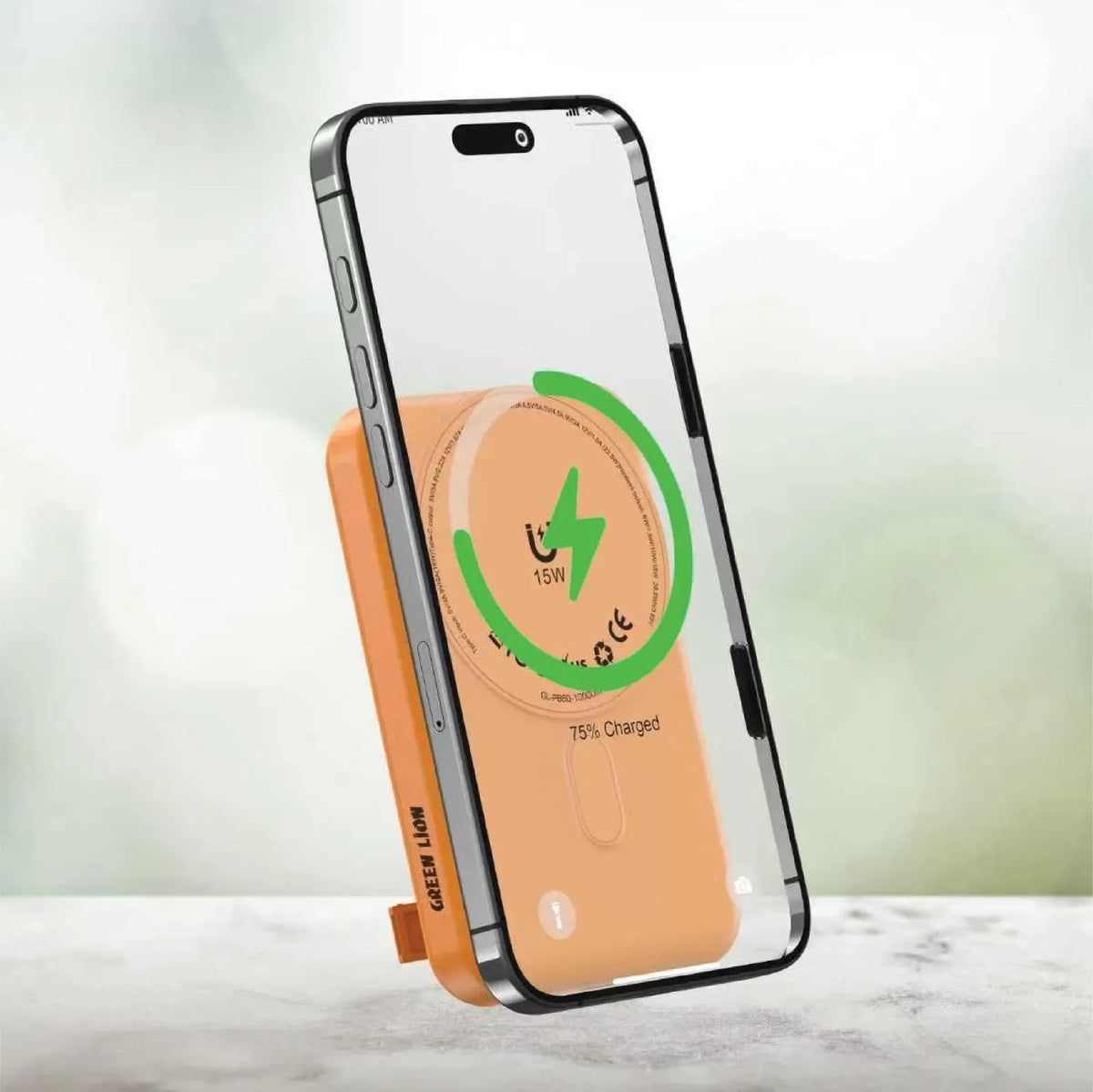 Green Lion Lagos 10000 m Ah Power Bank PD 20 W - Orange